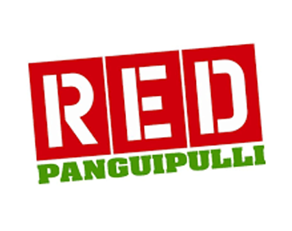 Proyecto Red Panguipulli